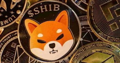 Shiba Inu – can the meme coin build on recent gains?