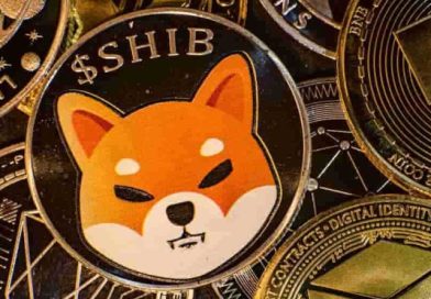 Shiba Inu – can the meme coin build on recent gains?