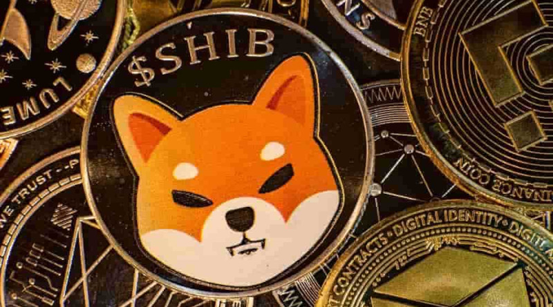 Shiba Inu – can the meme coin build on recent gains?